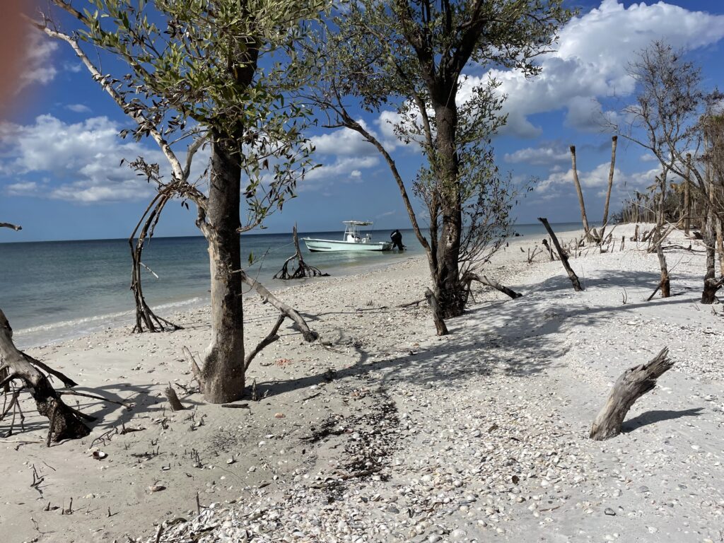 White-sand Naples beach and island shoreline